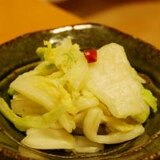 白菜のかんたん漬け